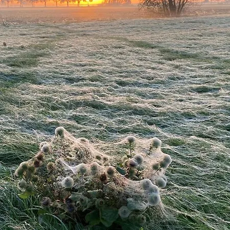 Roer, Aan De Maas Maren-Kessel