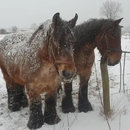 Casa vacanze Roer, Aan De Maas *