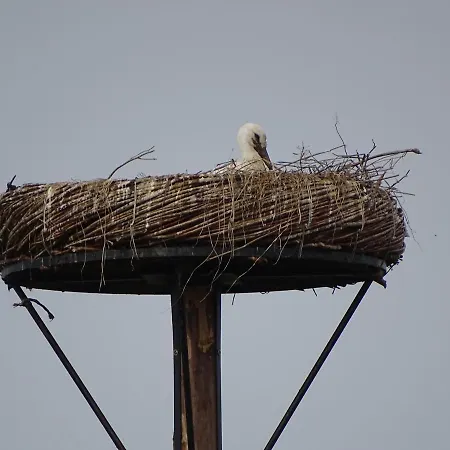 Roer, Aan De Maas Casa de Férias