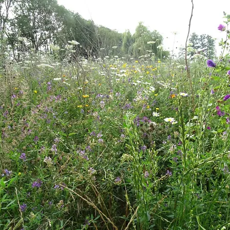 Casa vacanze Roer, Aan De Maas
