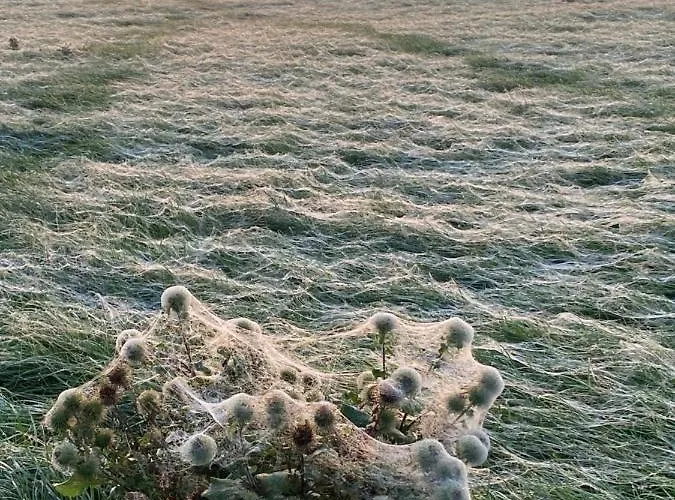 Roer, Aan De Maas Maren-Kessel