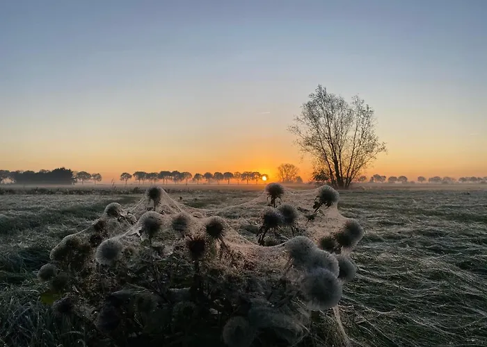 Hébergement de vacances Roer, Aan De Maas