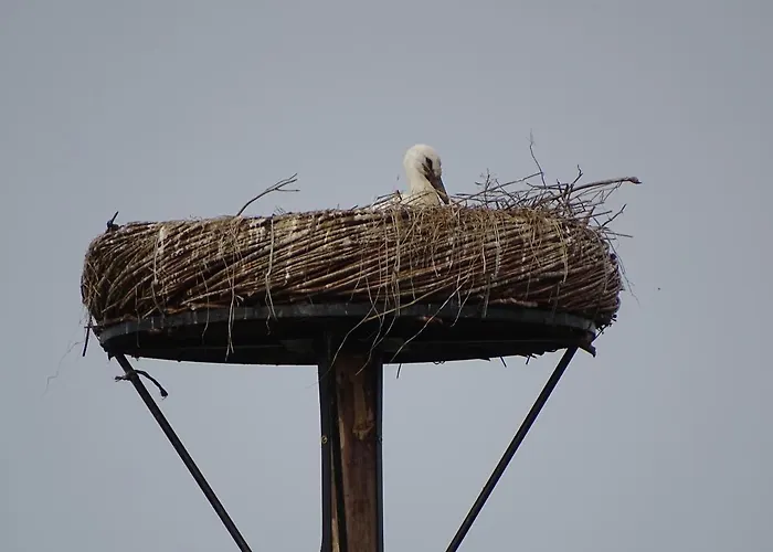 Roer, Aan De Maas Hébergement de vacances