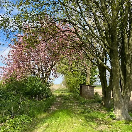 Roer, Aan De Maas *