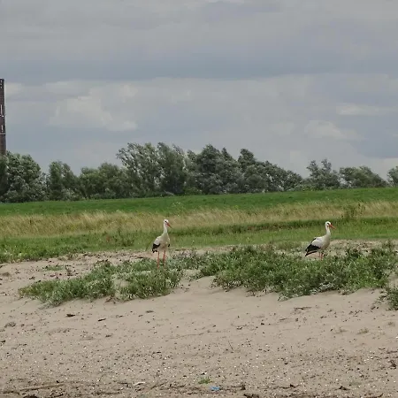 Hébergement de vacances Roer, Aan De Maas *
