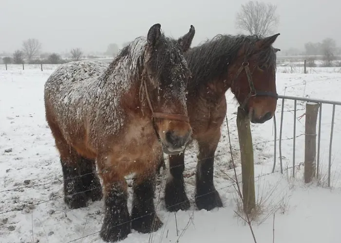 Ferienhaus Roer, Aan De Maas *