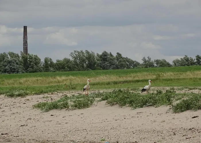 Ferienhaus Roer, Aan De Maas *