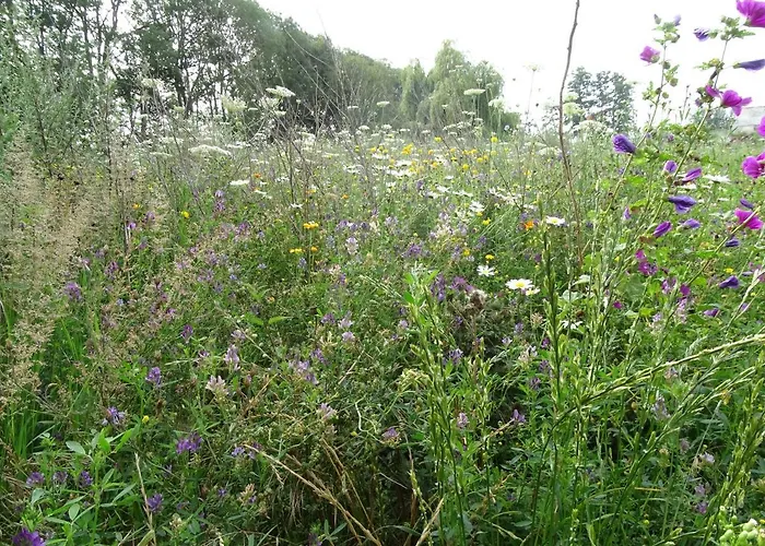 Ferienhaus Roer, Aan De Maas